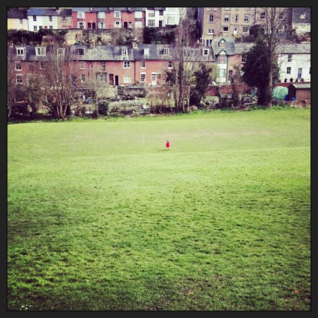 little-lewes-in-the-paddock