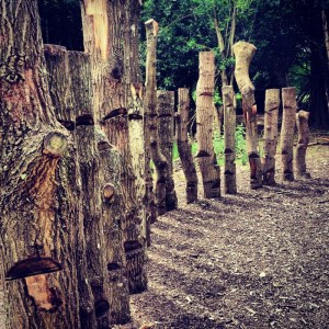 a line of logs with grooves cut into them