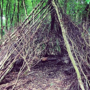 a den in a wood made of sticks