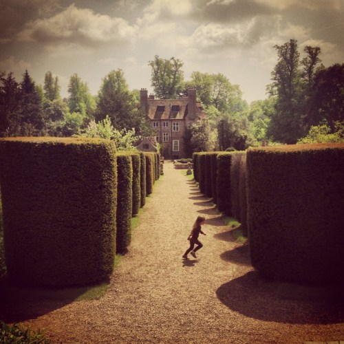 running-between-box-hedges-at-groombridge