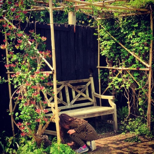 a bench surrounded by creepers at Groombridge Place