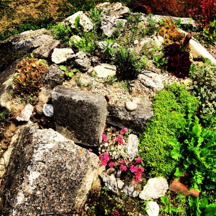 rockery