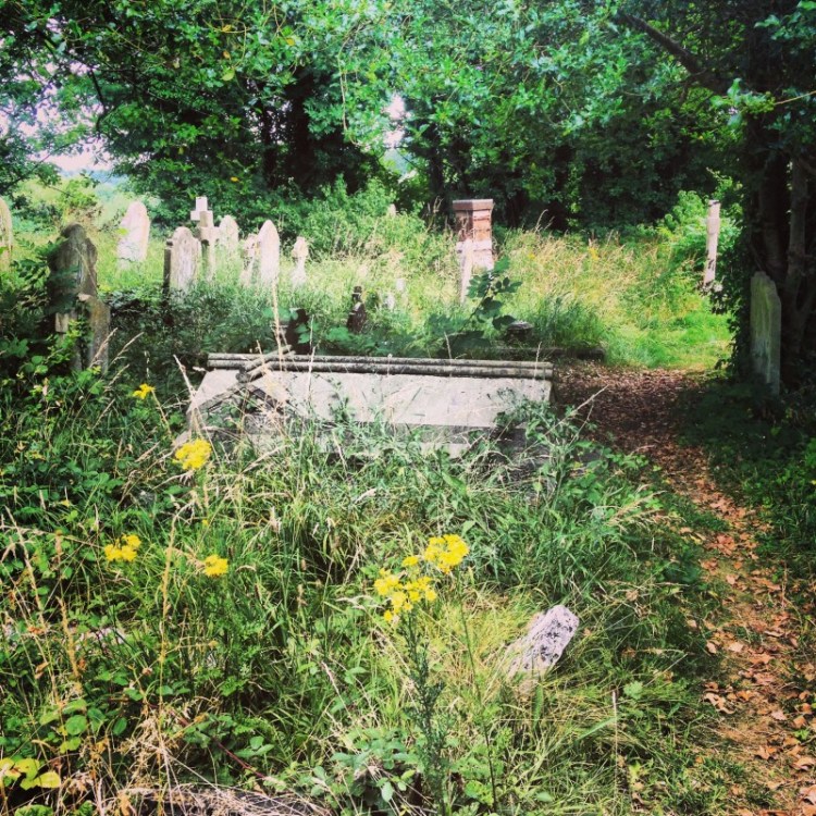 old-english-graveyard-with-beehives