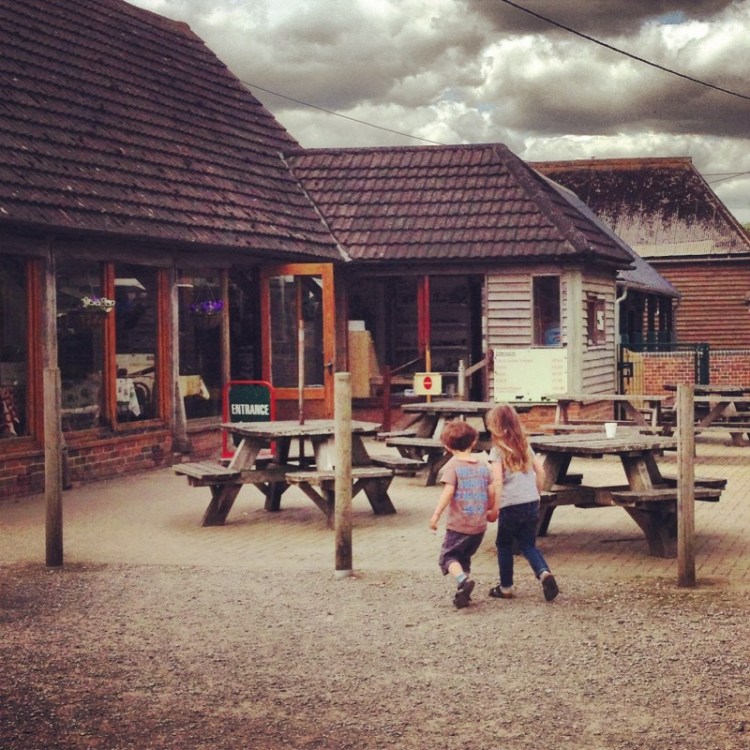 The Café and Entrance Area of Washbrooks Family Farm two-children-going-to-a-farm