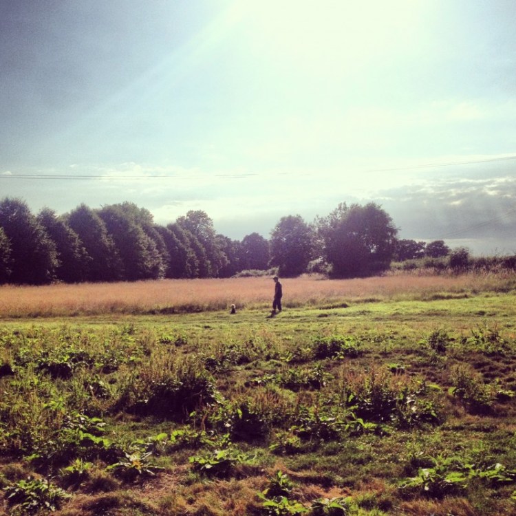 man-and-baby-in-a-field