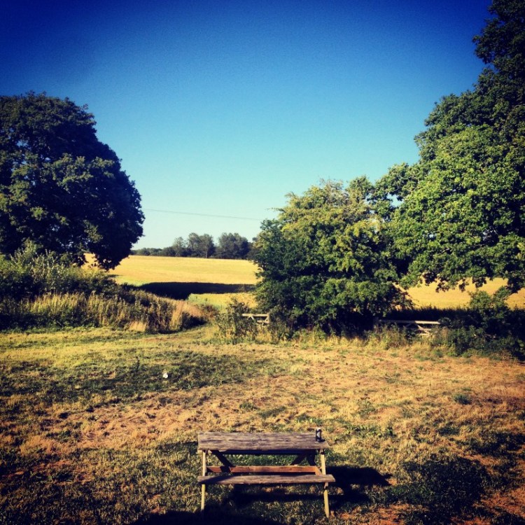 view-across-an-english-corn-field