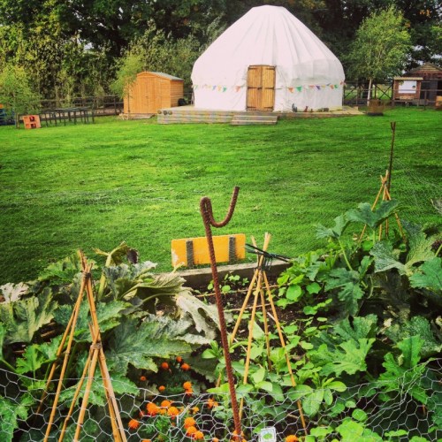yurt-at-animal-sanctuary