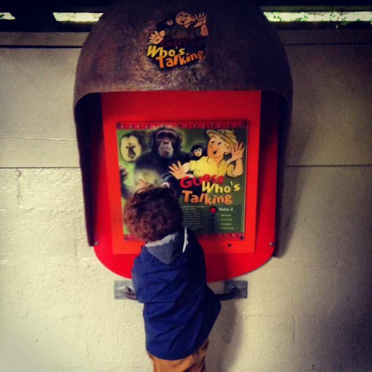 interactive-activity-at-park