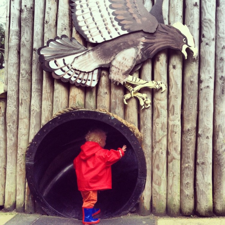 little-boy-looking-in-tunnel