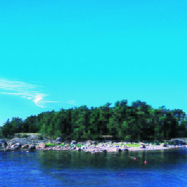 06_book_club_summer_book