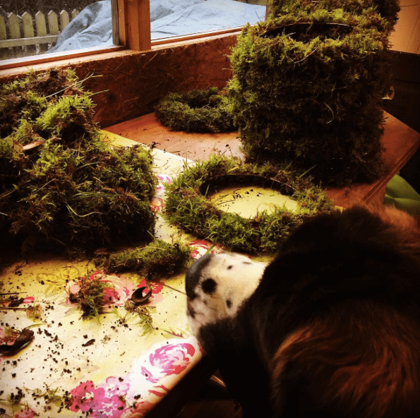 Screen Shot 2015-11-24 at 23.04.22