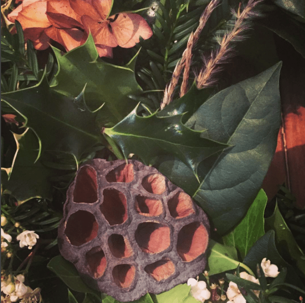 Screen Shot 2015-11-24 at 23.04.40